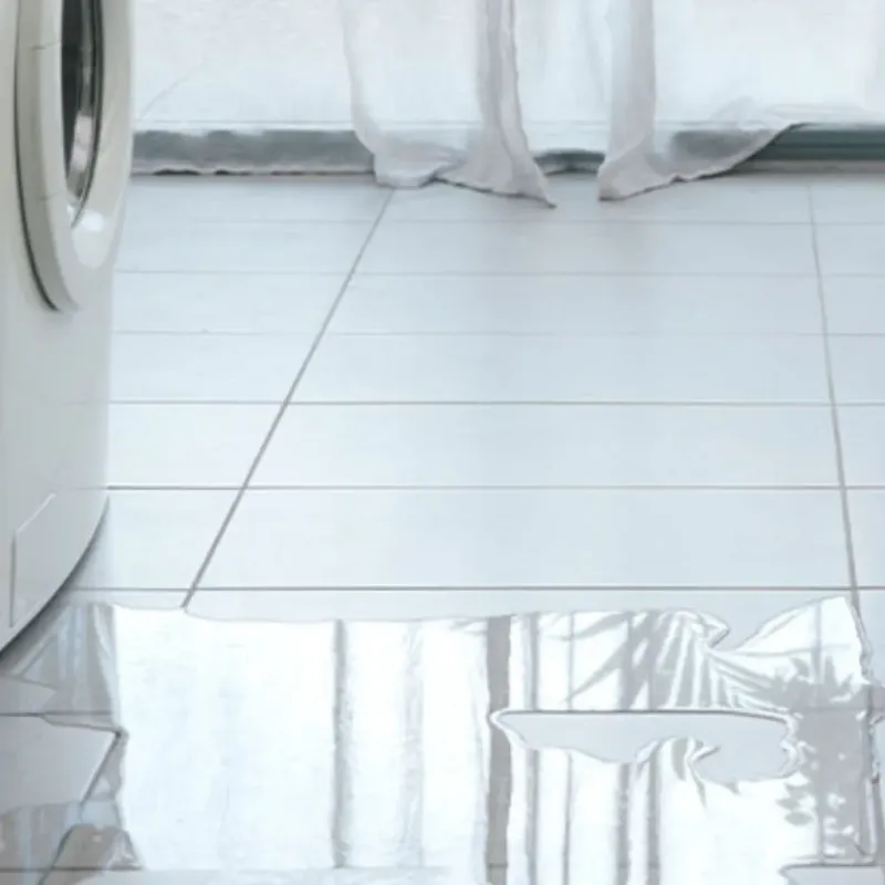 Appliance Leak Cleanup in Crosbyton, TX