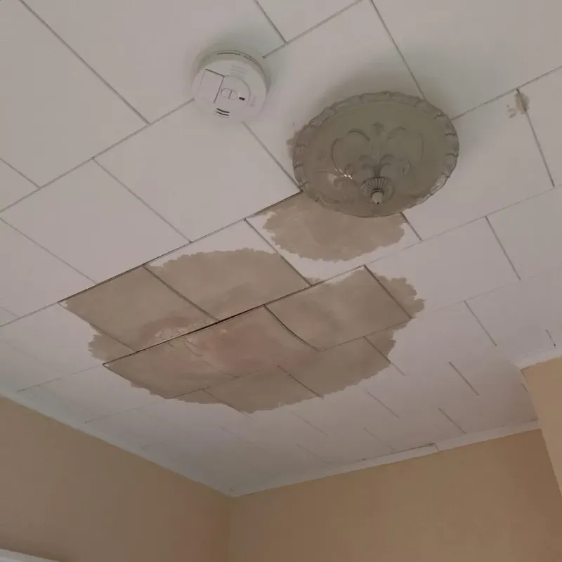 Ceiling Water Damage Repair in Crosbyton, TX