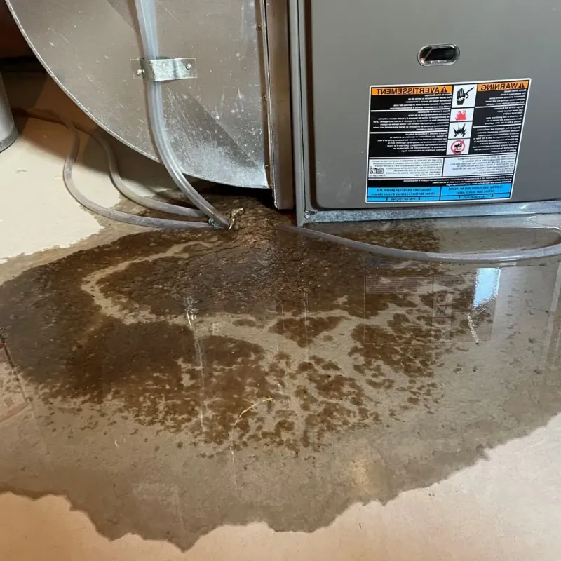 Pipe Burst and Leak Restoration in Crosbyton, TX